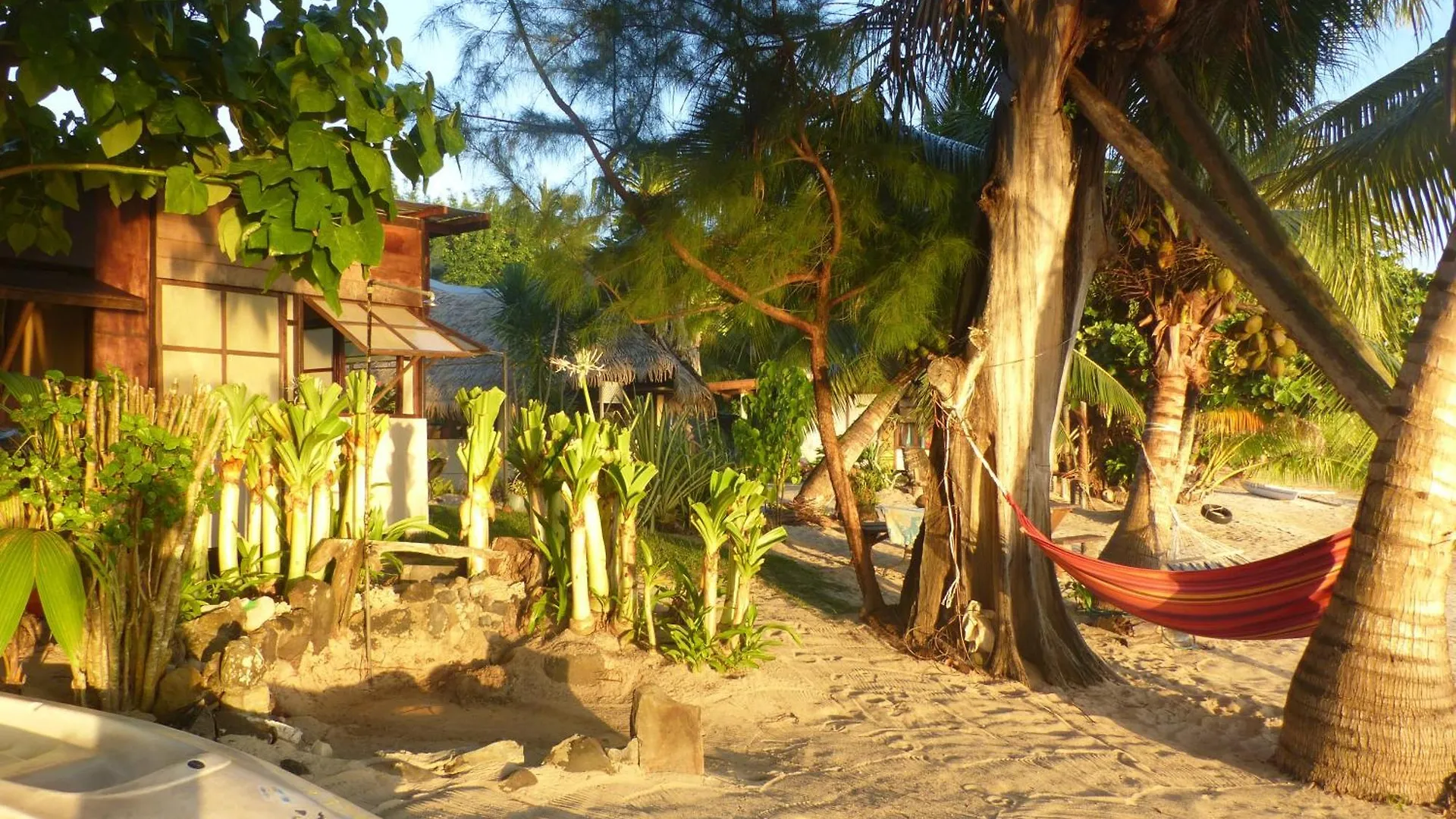 Guest house Moorea Pension Tarariki Haapiti