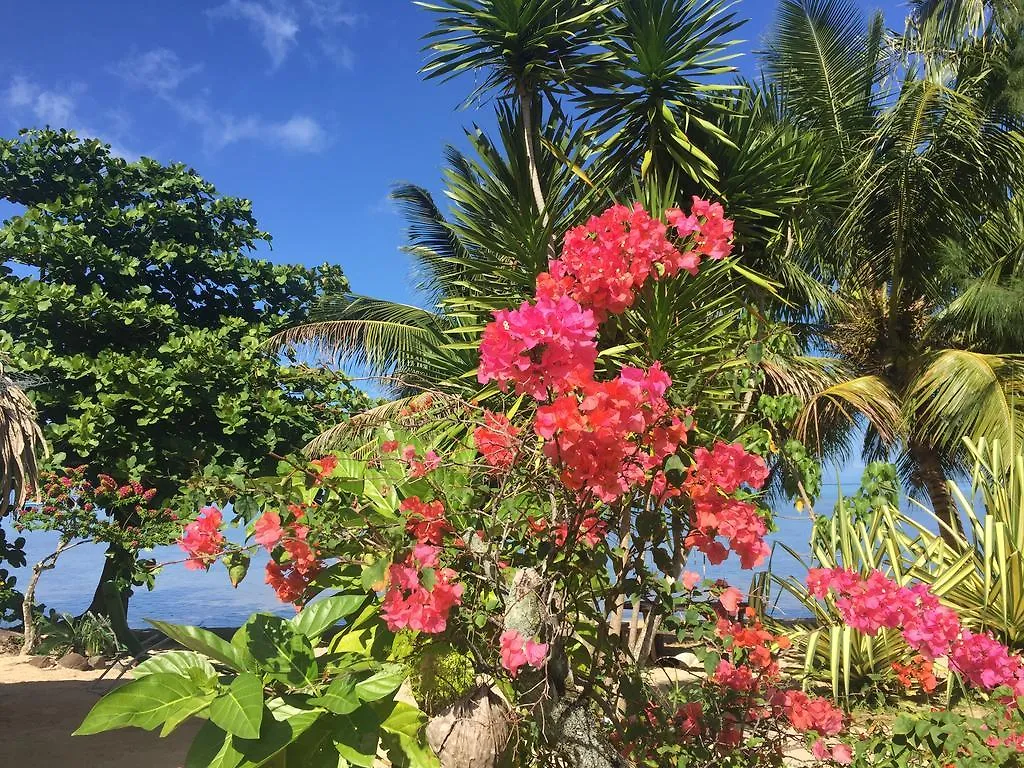 Moorea Pension Tarariki Haapiti 2*,