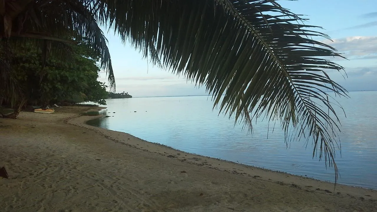 ** Guest house Moorea Pension Tarariki Haapiti French Polynesia